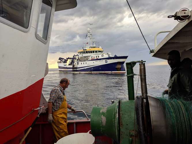 Avanzamos en el conocimiento del efecto de la pesca de enmalle en el cañón de Avilés