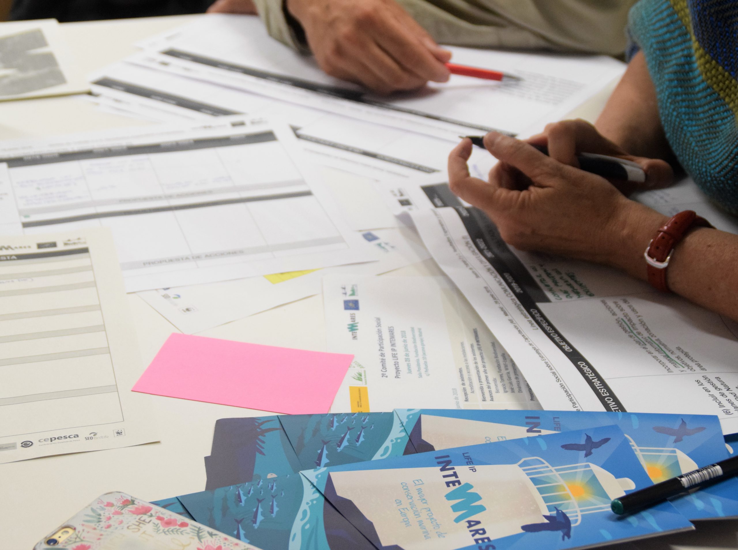 Elaboración de la Estrategia de Capacitación para gestores y usuarios de los espacios marinos de la Red Natura 2000