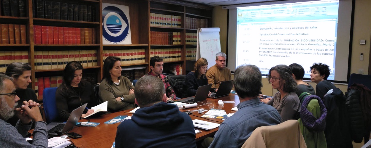 Primeros pasos para la elaboración de un Sistema de Información de especies alóctonas en la Red Natura 2000 marina