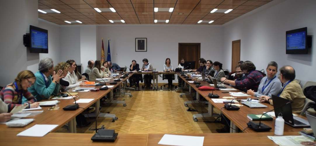 Primeros pasos en la elaboración de la estrategia de conservación de las tortugas marinas