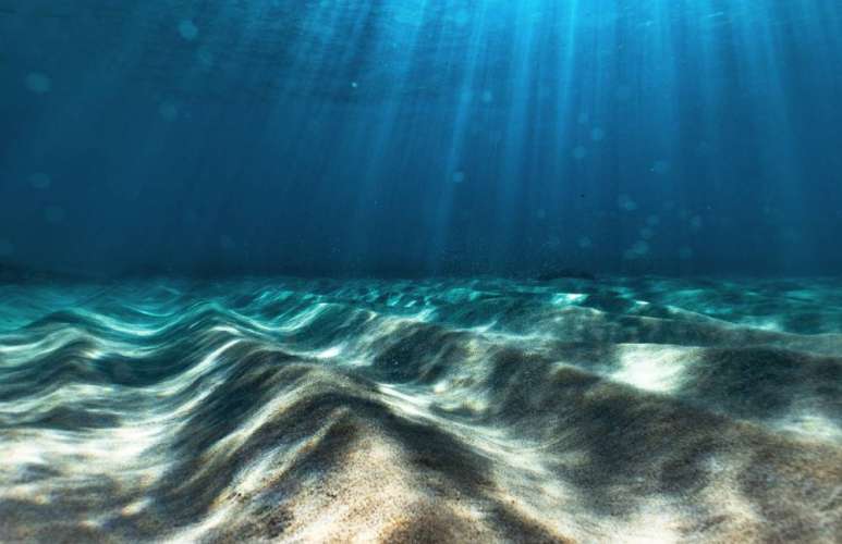 Aprobada la ampliación del Área Marina Protegida y la Zona Especial de Conservación “El Cachucho”