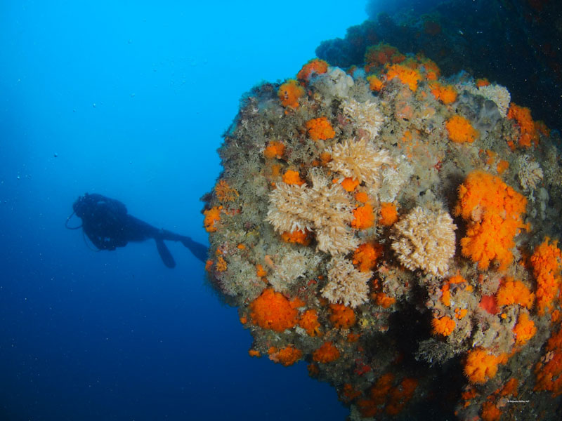 mar_de_gades-4